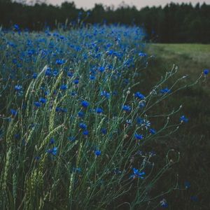 Meet your Posher, Melany